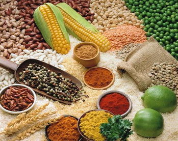 健康飲食 4個(gè)年齡段怎么吃粗糧最健康 圖