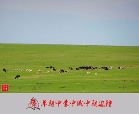 老驥伏櫪，志在千里 單騎穿越中蒙、中俄、中朝邊陲游記與攻略